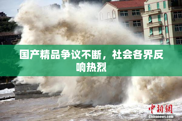 国产精品争议不断，社会各界反响热烈