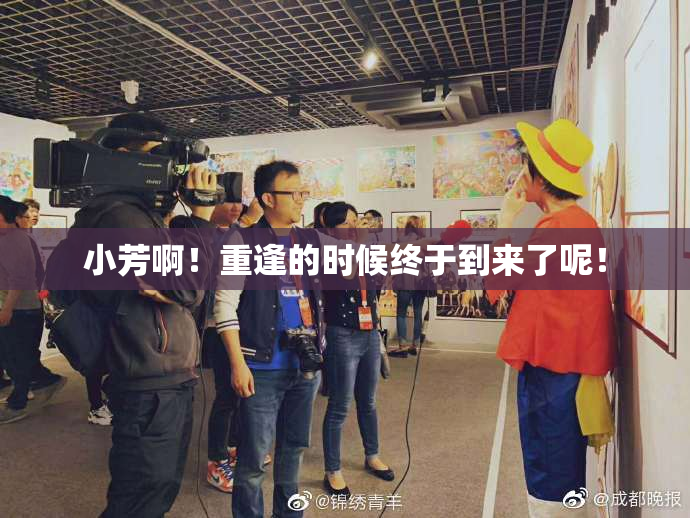 小芳啊！重逢的时候终于到来了呢！