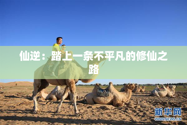 仙逆：踏上一条不平凡的修仙之路