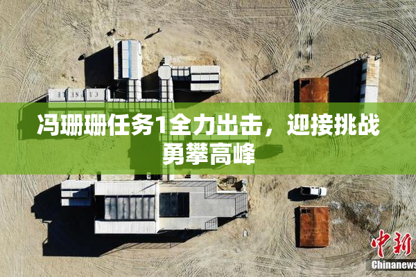 冯珊珊任务1全力出击，迎接挑战勇攀高峰