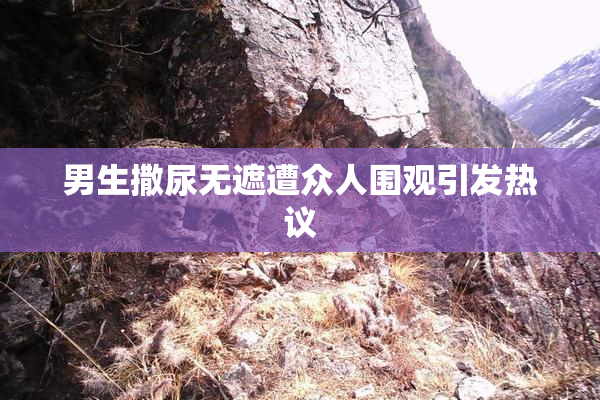 男生撒尿无遮遭众人围观引发热议