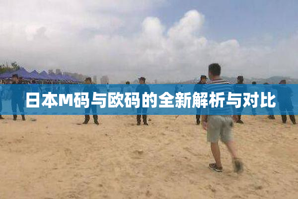 日本M码与欧码的全新解析与对比