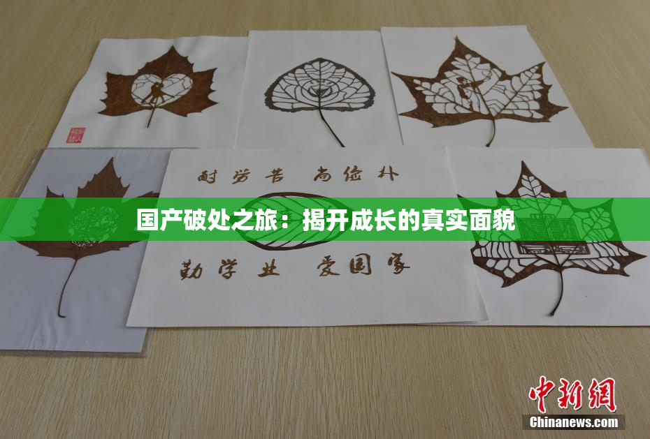 国产破处之旅：揭开成长的真实面貌