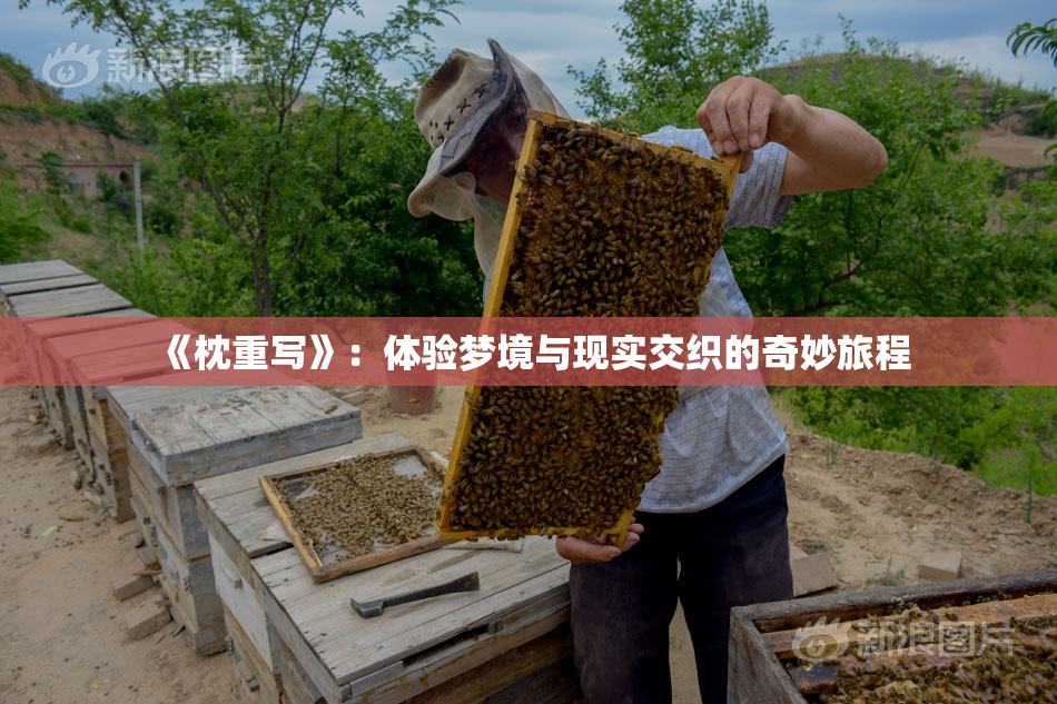 《枕重写》：体验梦境与现实交织的奇妙旅程