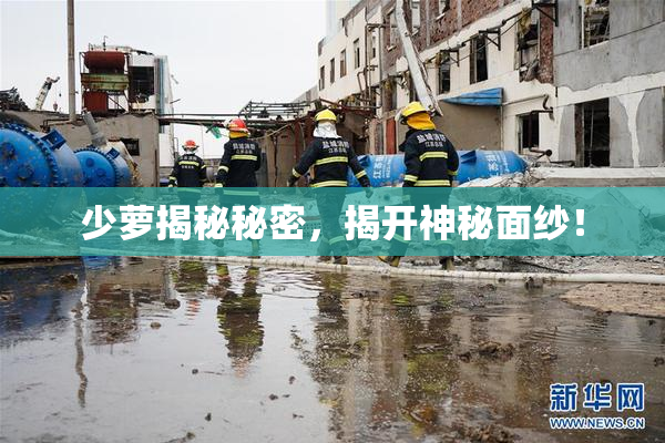 少萝揭秘秘密，揭开神秘面纱！