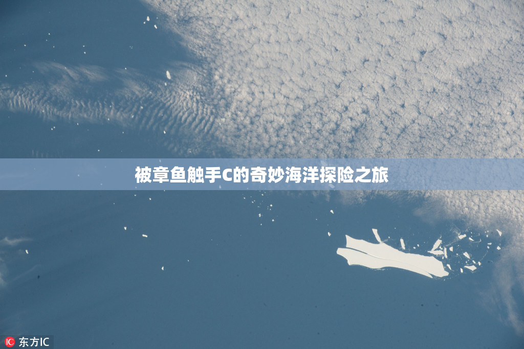被章鱼触手C的奇妙海洋探险之旅