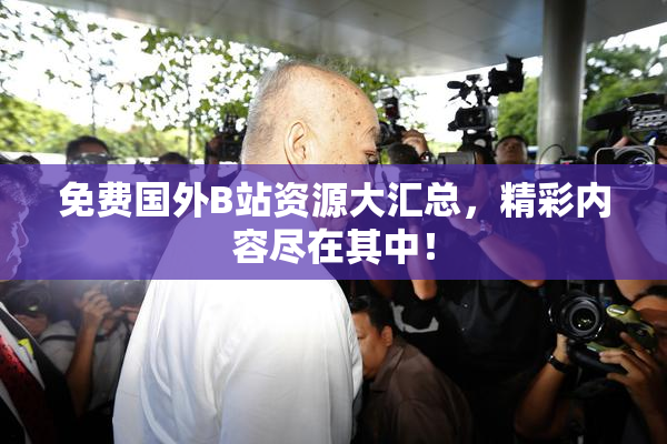 免费国外B站资源大汇总，精彩内容尽在其中！