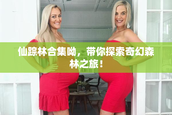 仙踪林合集呦，带你探索奇幻森林之旅！