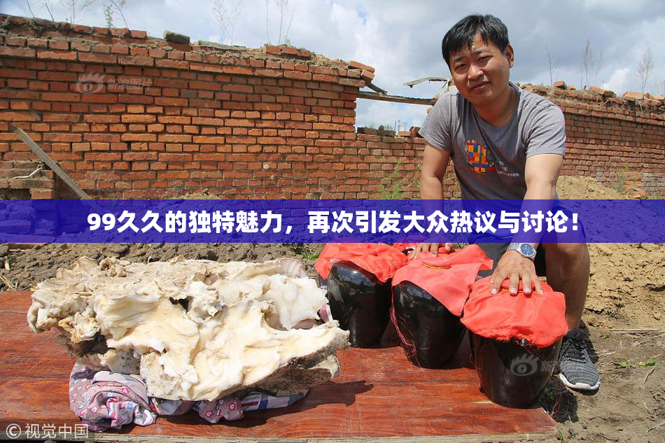99久久的独特魅力，再次引发大众热议与讨论！