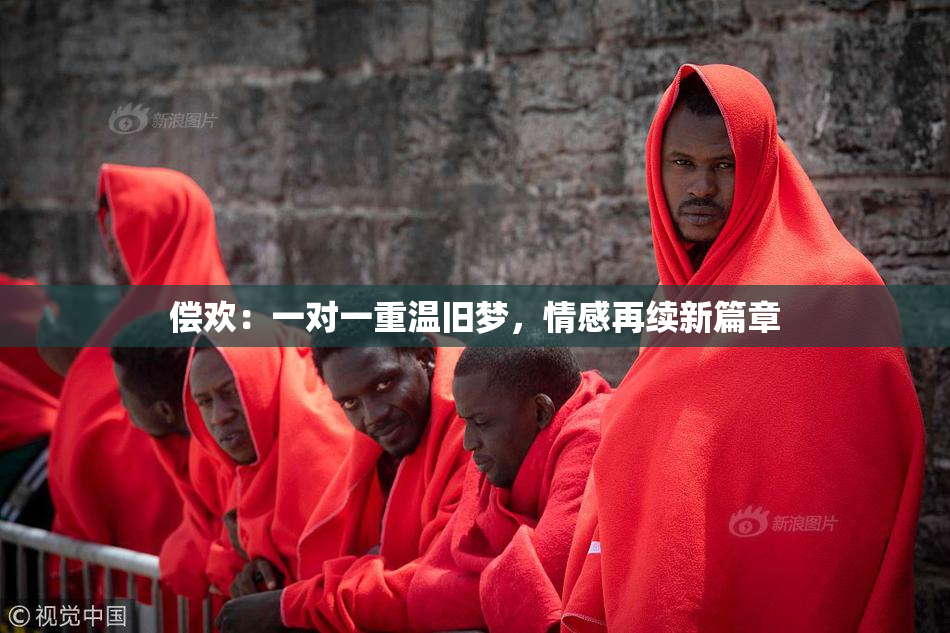 偿欢：一对一重温旧梦，情感再续新篇章