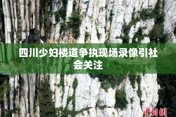 四川少妇楼道争执现场录像引社会关注
