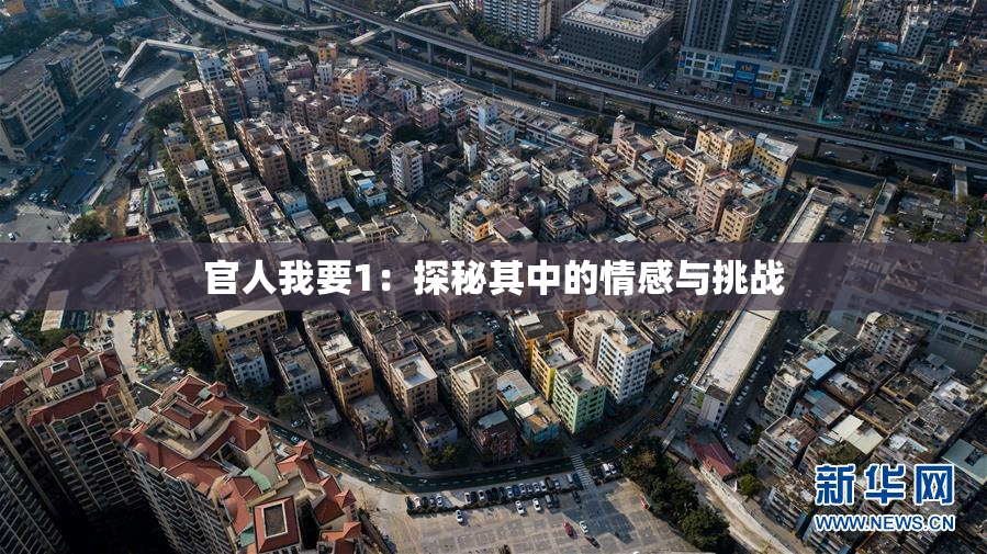 官人我要1：探秘其中的情感与挑战