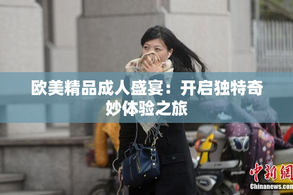 欧美精品成人盛宴：开启独特奇妙体验之旅