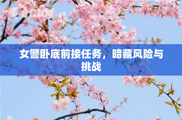 女警卧底前接任务，暗藏风险与挑战