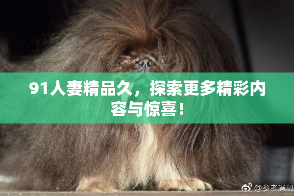 91人妻精品久，探索更多精彩内容与惊喜！
