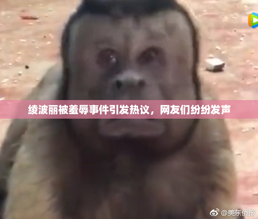 绫波丽被羞辱事件引发热议，网友们纷纷发声