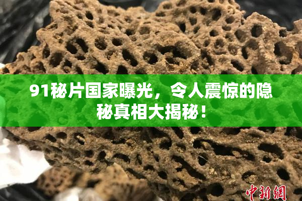 91秘片国家曝光，令人震惊的隐秘真相大揭秘！