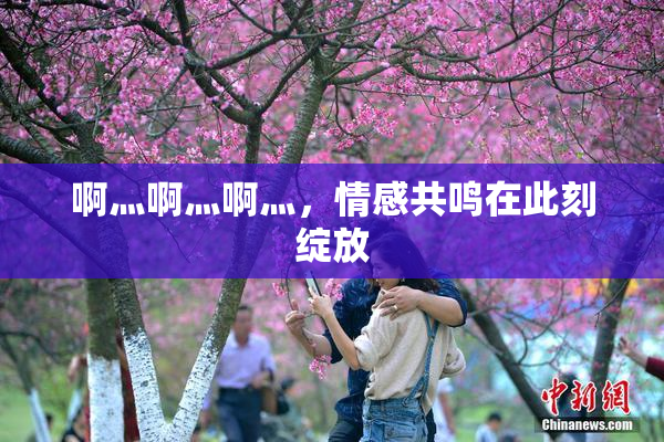 啊灬啊灬啊灬，情感共鸣在此刻绽放
