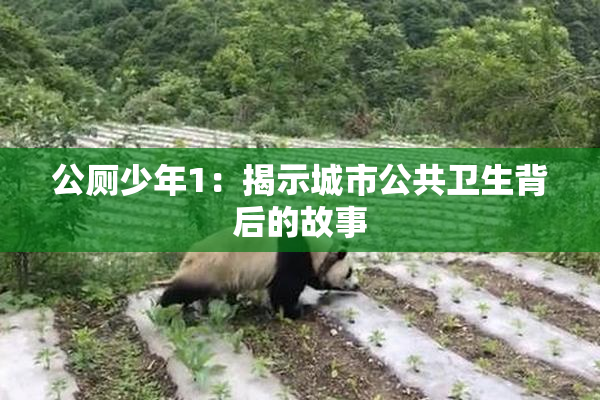 公厕少年1：揭示城市公共卫生背后的故事