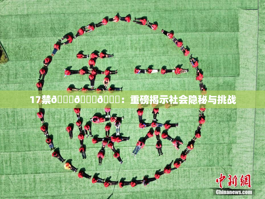 17禁🍆🍑🔞：重磅揭示社会隐秘与挑战