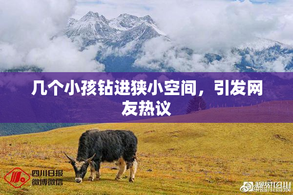几个小孩钻进狭小空间，引发网友热议