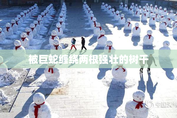 被巨蛇缠绕两根强壮的树干