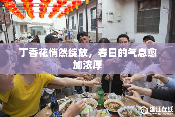 丁香花悄然绽放，春日的气息愈加浓厚