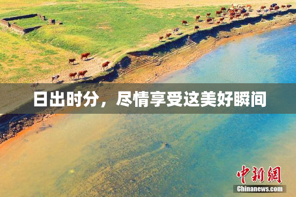 日出时分，尽情享受这美好瞬间
