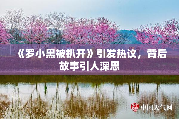 《罗小黑被扒开》引发热议，背后故事引人深思