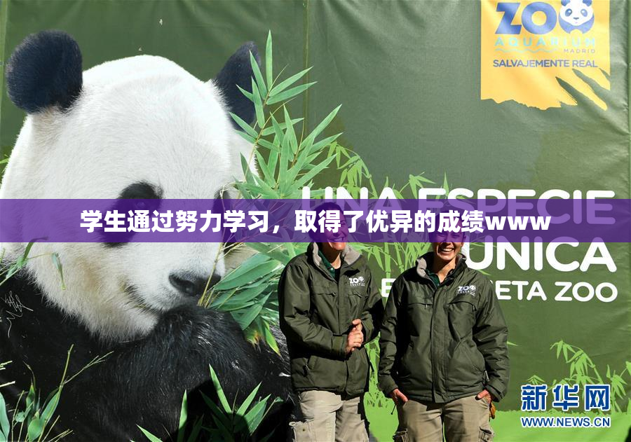 学生通过努力学习，取得了优异的成绩www