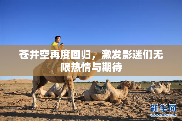 苍井空再度回归，激发影迷们无限热情与期待