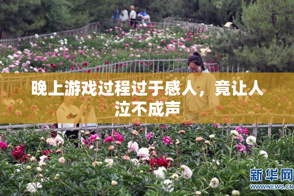 晚上游戏过程过于感人，竟让人泣不成声