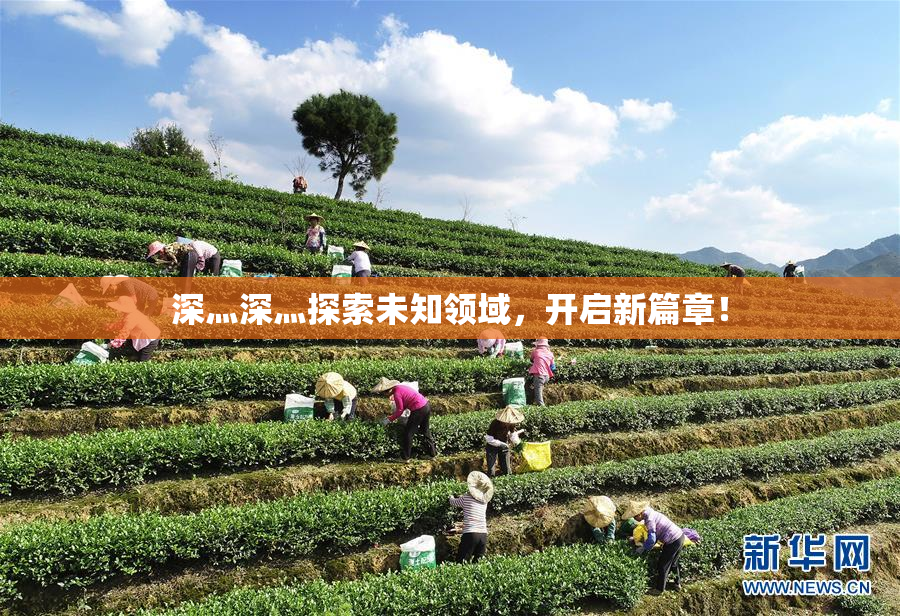 深灬深灬探索未知领域，开启新篇章！
