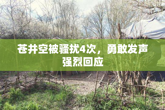 苍井空被骚扰4次，勇敢发声强烈回应