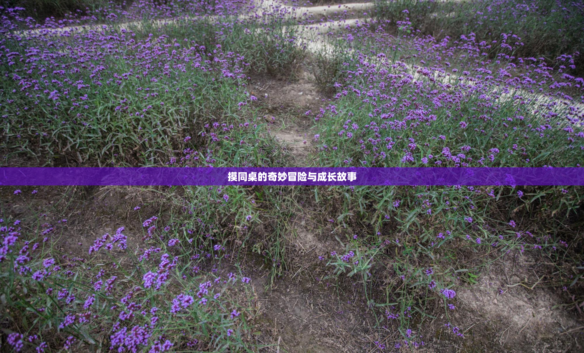 摸同桌的奇妙冒险与成长故事