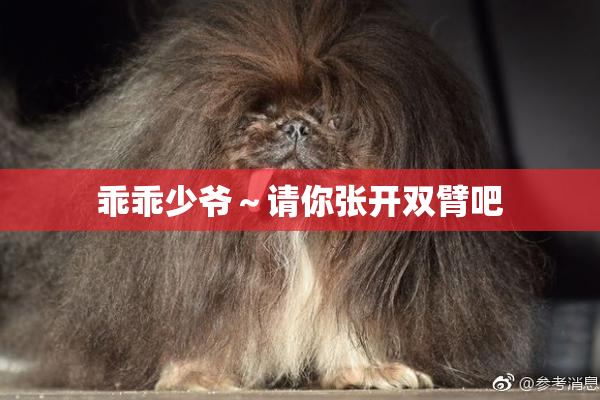 乖乖少爷～请你张开双臂吧