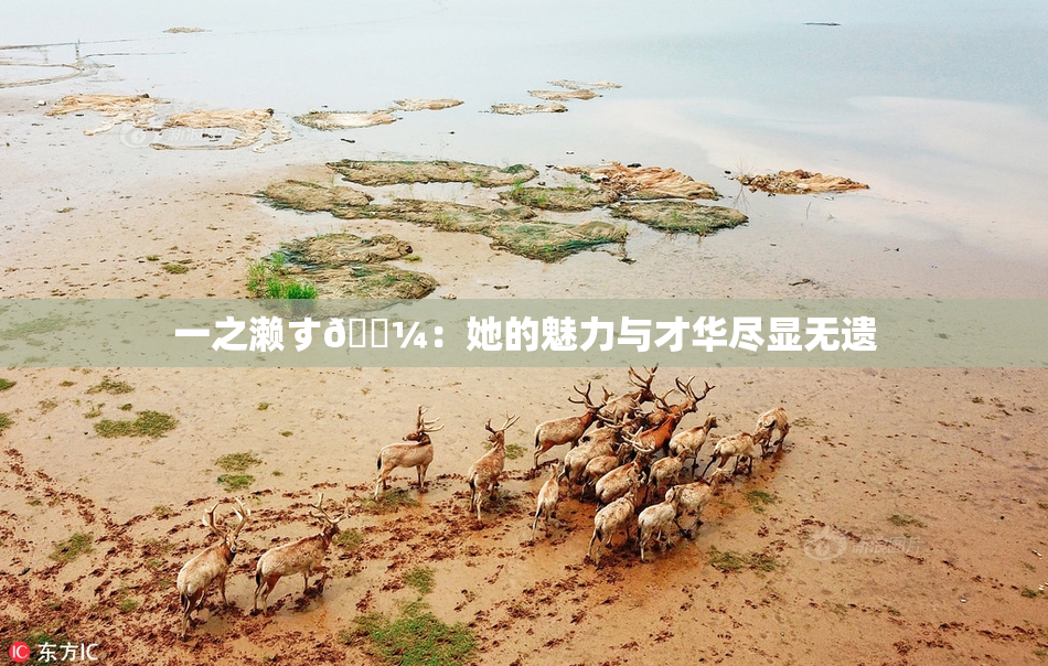 一之濑す🌼：她的魅力与才华尽显无遗