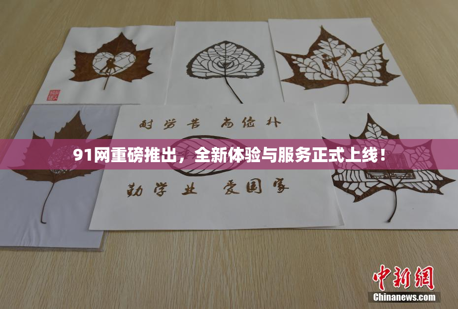 91网重磅推出，全新体验与服务正式上线！