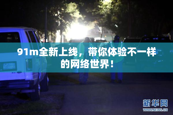 91m全新上线，带你体验不一样的网络世界！