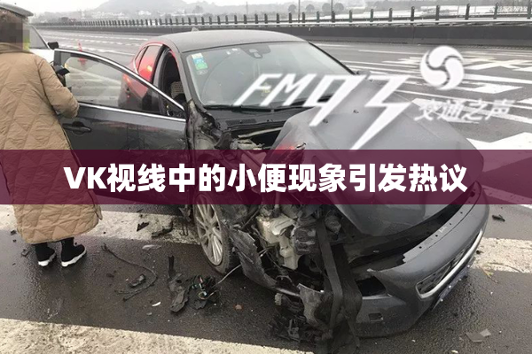 VK视线中的小便现象引发热议