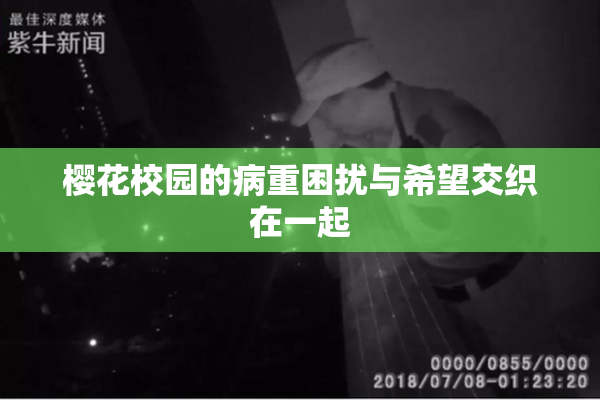 樱花校园的病重困扰与希望交织在一起