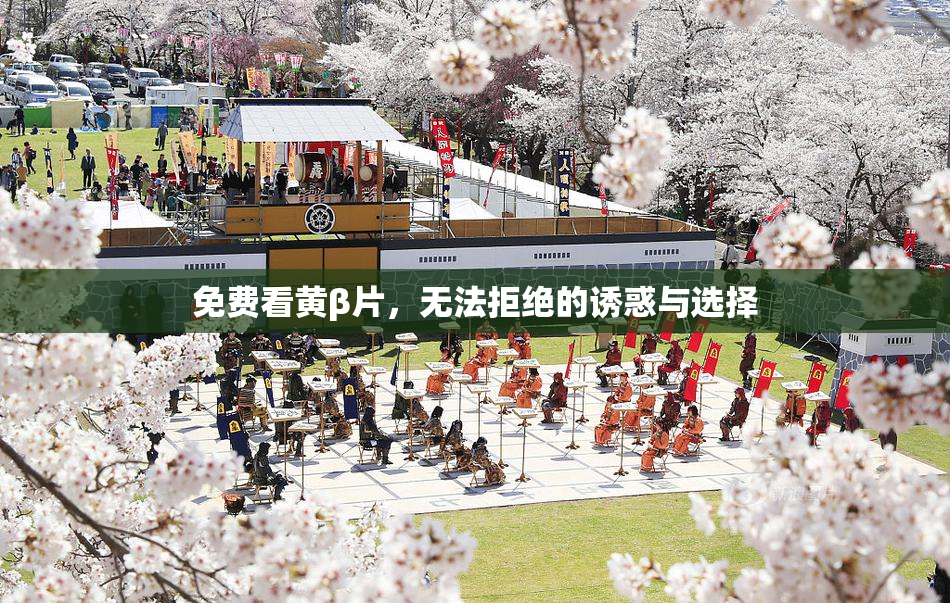 免费看黄β片，无法拒绝的诱惑与选择
