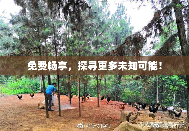 免费畅享，探寻更多未知可能！