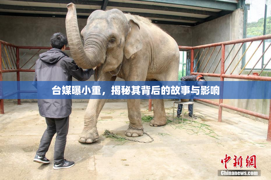 台媒曝小重，揭秘其背后的故事与影响