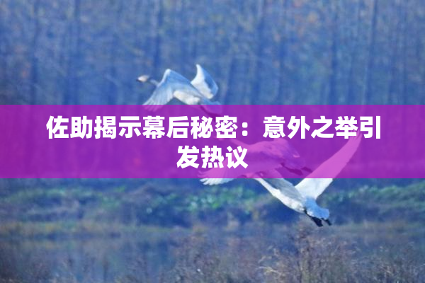 佐助揭示幕后秘密：意外之举引发热议