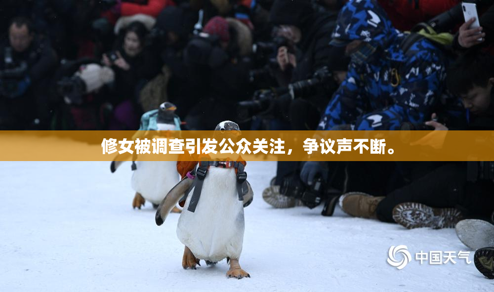 修女被调查引发公众关注，争议声不断。