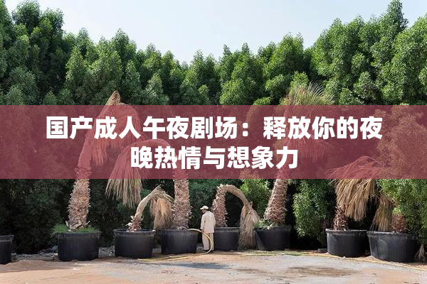 国产成人午夜剧场：释放你的夜晚热情与想象力