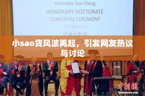 小sao货风波再起，引发网友热议与讨论