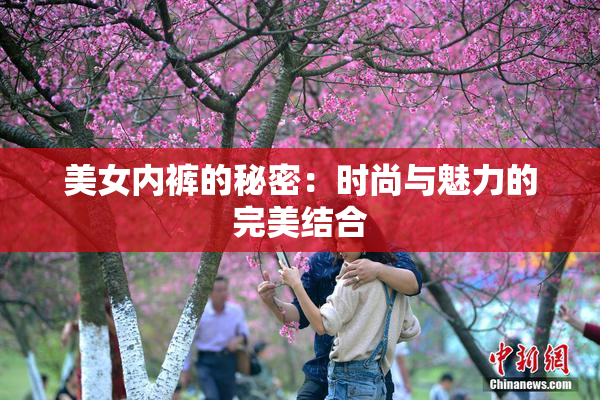 美女内裤的秘密：时尚与魅力的完美结合