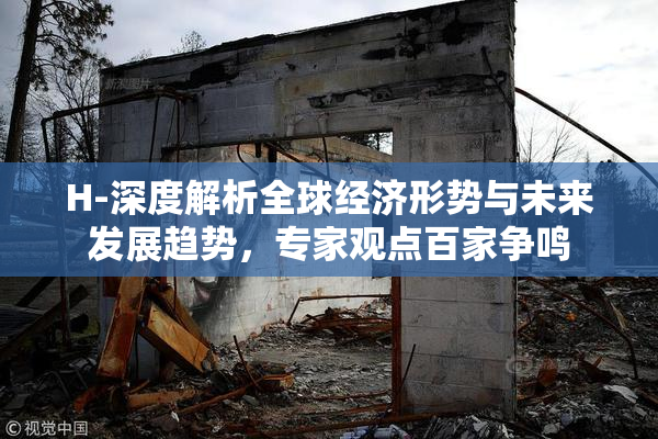 H-深度解析全球经济形势与未来发展趋势，专家观点百家争鸣